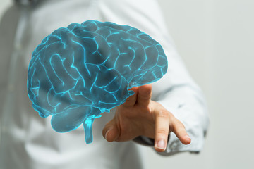 brain