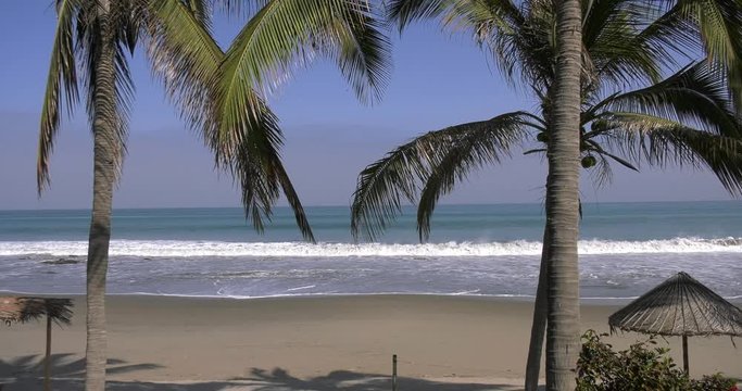 Ocean view with palm trees and sunny skies in Mancora, Peru