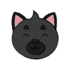 Cat head cartoon icon vector illustration graphic design