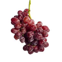 Red grapes, white background