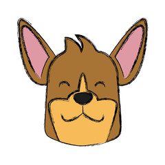 Dog head cartoon icon vector illustration graphic design