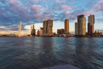 Foto op Plexiglas Erasmusbrug Rotterdamse skyline