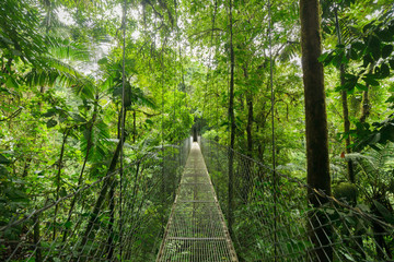 Hanging suspension bridge in Monteverde cloud forest reserve Costa Rica - 182004600