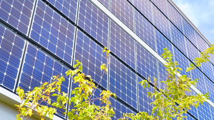 Solar Panels with Green Leaves, Concept of Eco Energy