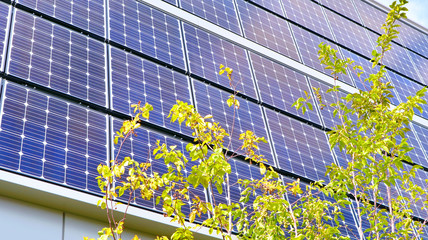 Solar Panels with Green Leaves, Concept of Eco Energy © Tipstour