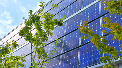Solar Panels with Green Leaves, Concept of Eco Energy