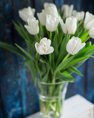 A bouquet of white tulips in a glass vase on a wooden blue background. Spring! Freshness! Beautiful bouquet of flowers.