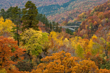 Beautiful Autumn colour season at Hachimantai area, Akita, Japan.	