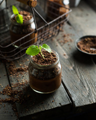 Vegan chocolate banana avocado mousse in a jar. A green sprout of mint grows from mousse. An unusual original serving of a tasty useful dessert. 
