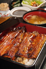 Rice with grilled and flavored eel
