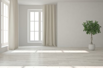 Fototapeta premium White empty room with green flower. Scandinavian interior design. 3D illustration