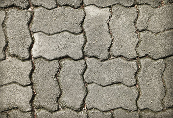 Old concrete brick floor with dark lichen