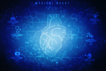 2d illustration  Anatomy of Human Heart
