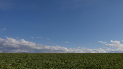 Fototapeta premium 高原の牧草地