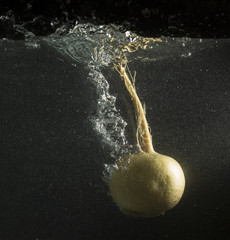 Turnip in water with splashes on a black background