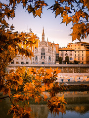 Rome Italy in Autumn (Fall) with yellow leaves, river and beautiful architecture