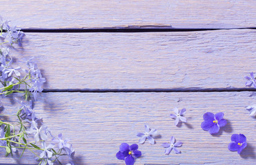 spring flowers on wooden background