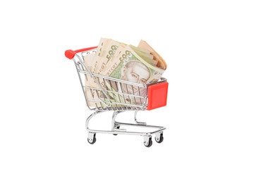 Banknotes of five hundred hryvnias in the shopping cart, isolated