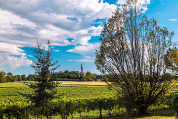 Obraz premium Sunset in the vineyards of Friuli Venezia Giulia