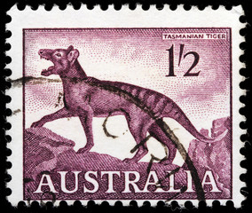Tasmanian Tiger Stamp