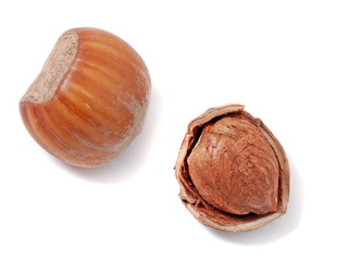 Hazelnuts isolated on white background.