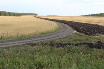 Fototapeta na wymiar Winding dirt road among the fields in autumn, Siberia, Russia