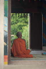 praying Buddhist monk in orange