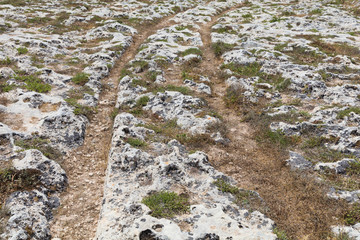 Mysterious ancient cart ruts at Misrah Ghar il-Kbir aka Clapham Junction, a prehistoric site near...