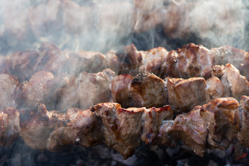 Grilled shish kebab. Party barbecue. Close-up.