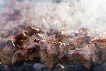 Grilled shish kebab. Party barbecue. Close-up.