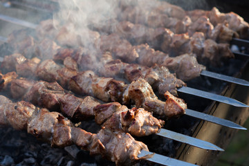 Grilled shish kebab. Party barbecue. Close-up.
