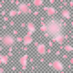 Falling flower petals isolated on transparent background. EPS 10 vector