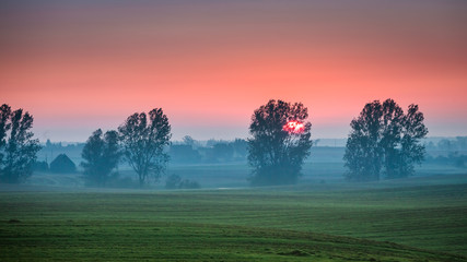 Beautiful sunrise at foggy field and sun in summer, Europe