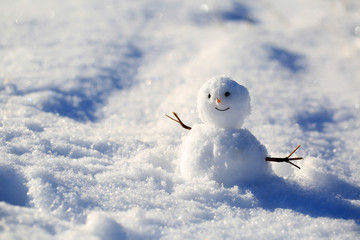 Funny snowman on the snow background
