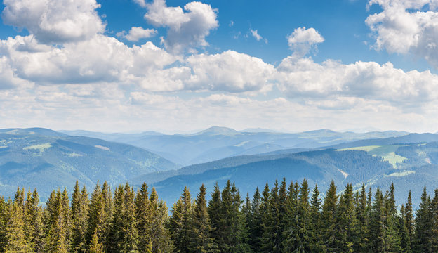 Landscape with forest © firewings