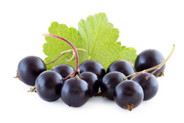 Black currants isolated on white