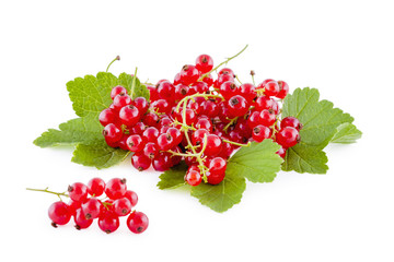 Red currants isolated on white