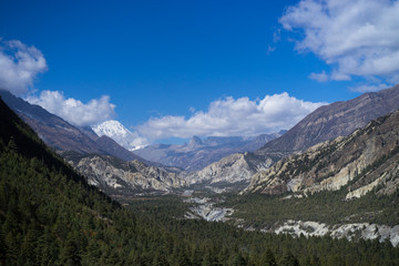 Fototapeta na wymiar Valley and Forest in the Himalaya mountains, Annapurna region, Nepal