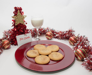 Milk and Cookies for Santa 2
