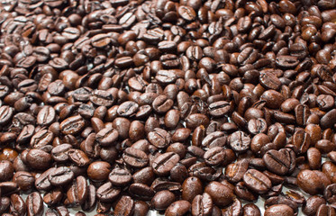 Coffee beans Close