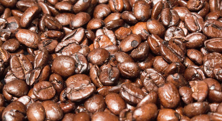 Coffee Beans 4