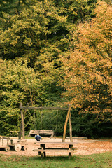 Obraz premium A boy on a swing in the forest playground