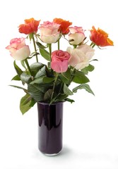 Fototapeta premium pretty roses