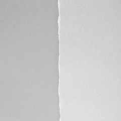 Gray ripped paper texture background. copy space