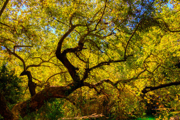 Kursunlu Waterfalls Turkey