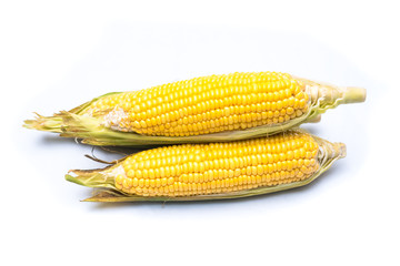  corn isolated on white background