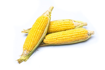  corn  isolated on white backgeound