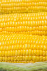 corn close-up