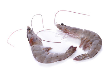 raw shrimp isolated on white background.