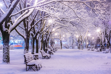 Erstaunliche Winternachtlandschaft mit schneebedeckter Bank zwischen verschneiten Bäumen und leuchtenden Lichtern während des Schneefalls. Künstlerisches Bild. Schönheitswelt.